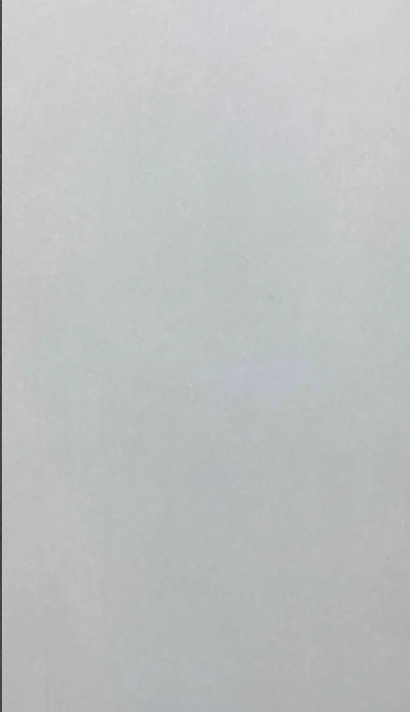 PF6121502 - Matt Porcelain Tile 60 × 120