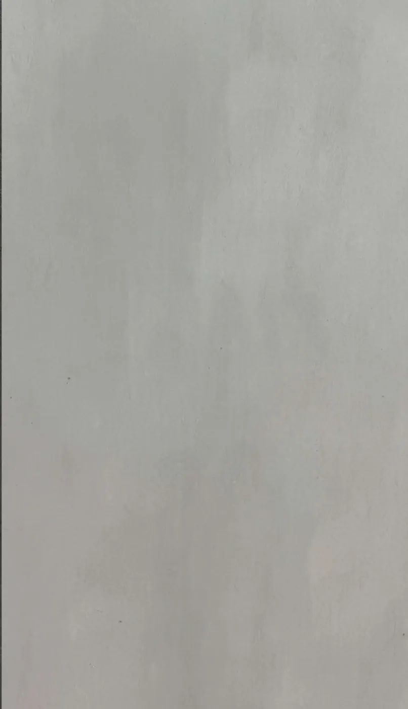 PF6120506 TC - Porcelain Tile 60 × 120