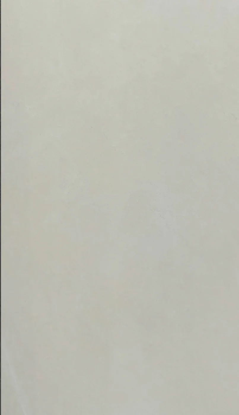 PF6120516 TC - Porcelain Tile 60 × 120